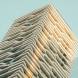 Build your governance capability