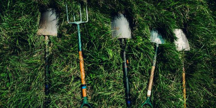 Gardening tools lying on grass