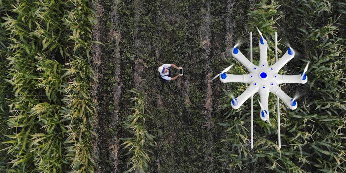 Looking down at a drone flying over crops